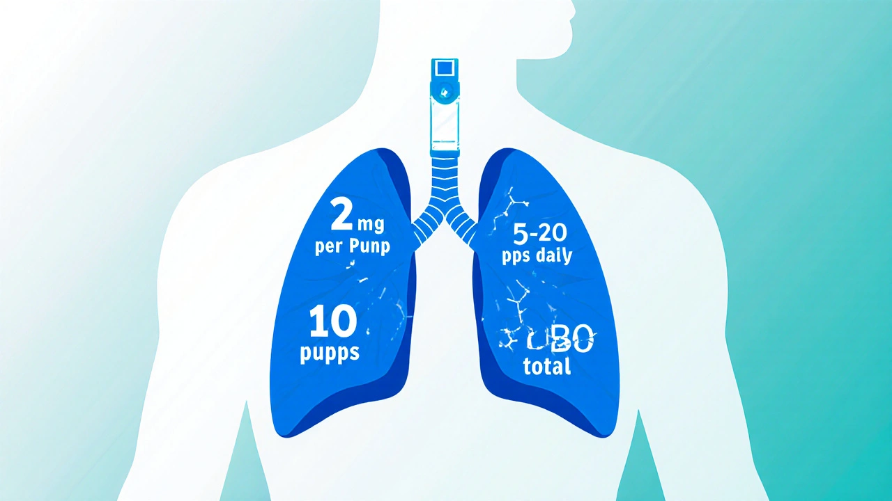 Human lung with CBD molecules entering from a vape puff, showing daily dosage range.