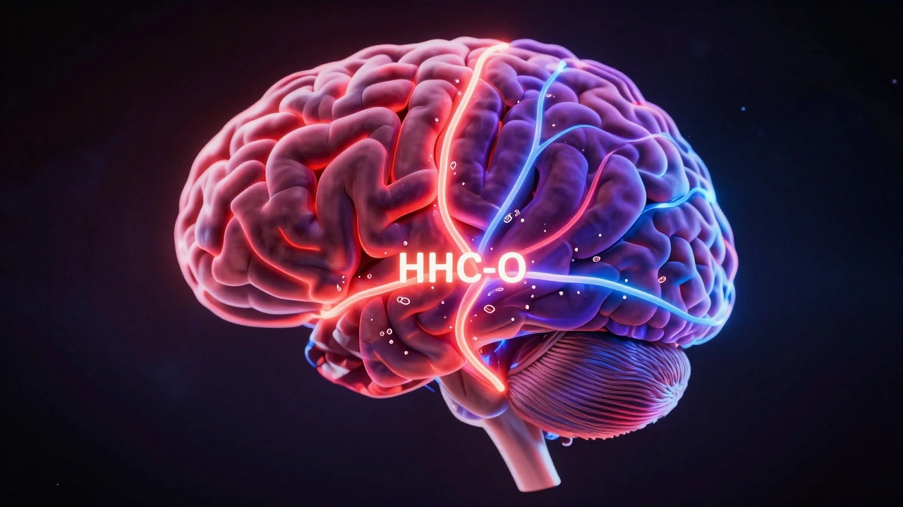 Gehirn mit drei unterschiedlich farbigen neuronalen Wegen für HHC-O, THC und CBD, biolumineszent dargestellt.
