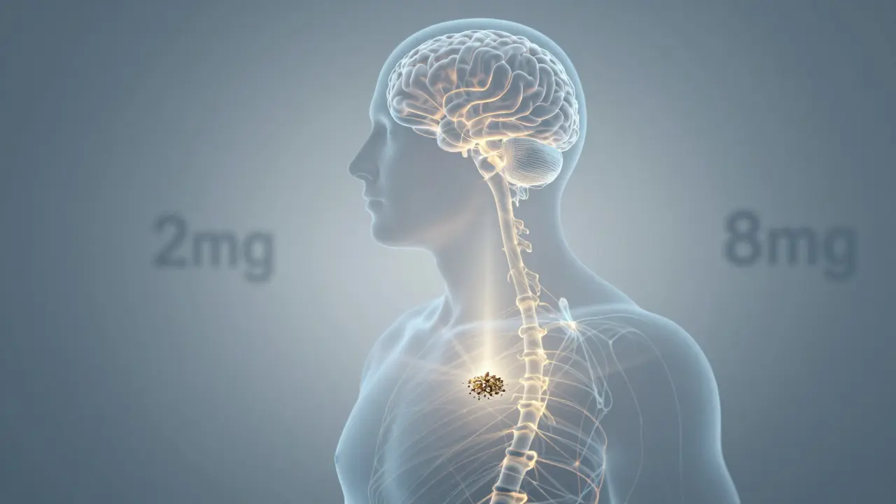 Eine Silhouette mit einem winzigen CBD-Shatter-Fragment, das das Endocannabinoid-System symbolisiert.