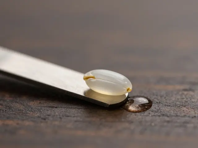 Wie viel Shatter brauchst du wirklich? Die praktische Anleitung für CBD-Shatter-Einsteiger