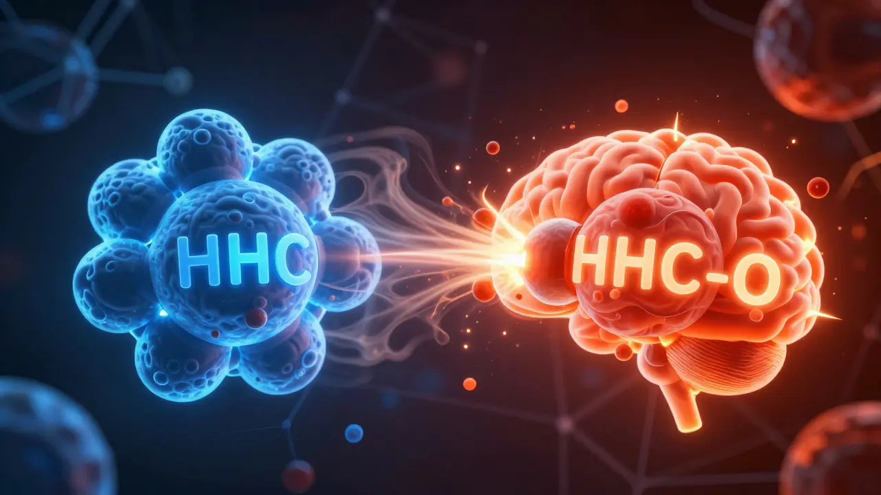 Konzeptuelle Darstellung von HHC und HHC-O Molekülen an Gehirnrezeptoren.
