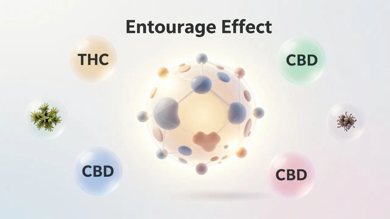 Abstrakte Darstellung des Entourage-Effekts mit verbundenen Cannabinoid-Knoten