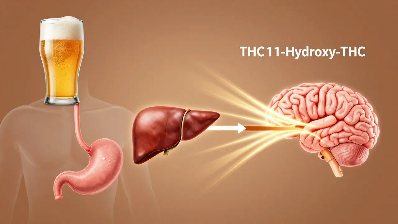 Schematische Darstellung der Leberumwandlung von THC bei oraler Einnahme.