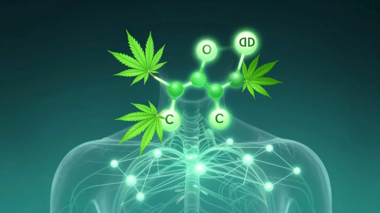 Abstrakte Illustration einer CBD-Molekülstruktur mit Hanfblättern und Nervensystem